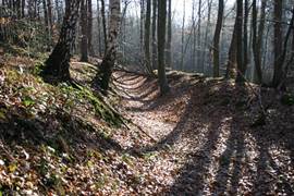 R�merkanal-Ausbruchgraben